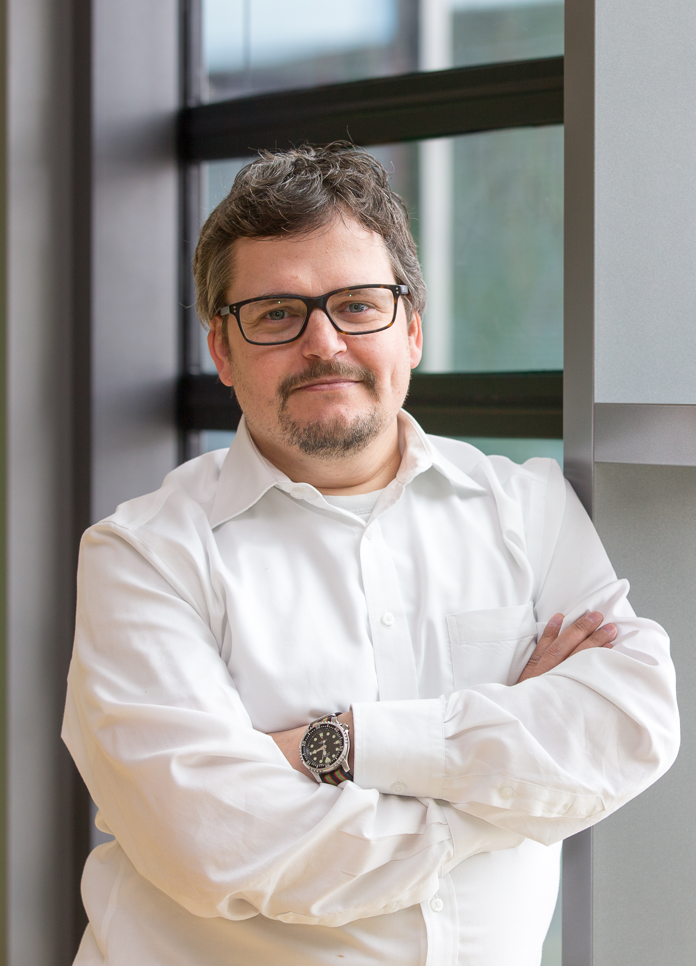 Florian Holzmann - Director de Produs Surse de alimentare electrică și sisteme de rezervă